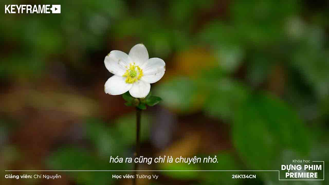 Tìm lại chính mình